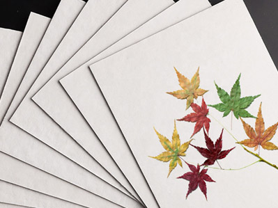 How to choose blotting paper for flower press